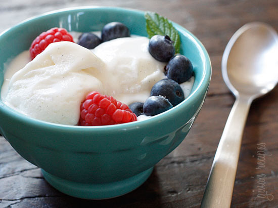 Vanilla Bean Frozen Yogurt